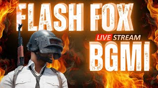 Flash Fox Live Stream
