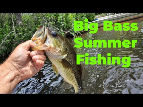Summer BASS FISHING JUNE