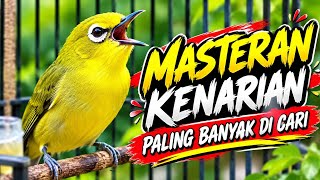 MASTERAN PREMIUM 🔥 SUARA PLECI ISIAN KENARI, BANYAK DICARI PEMAIN LAWAS  ❗