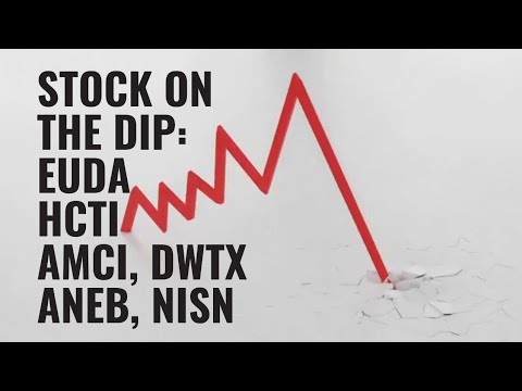 Crashing EUDA, HCTI, AMCI, DWTX, ANEB &amp; NISN Stocks