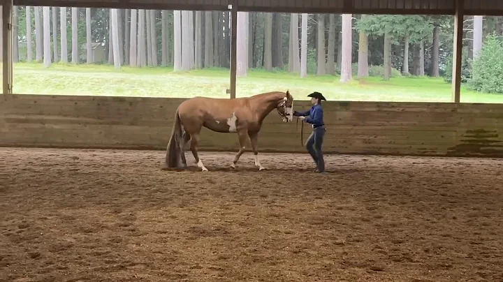 Good Girl Gone Bad - Showmanship with Terry Irvin