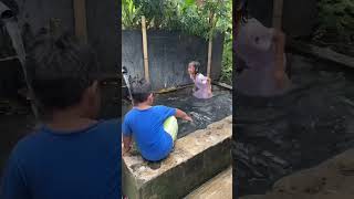 Ada kolam renang di pinggir sawah #Trending #viral #badut #bebek #hantu #games