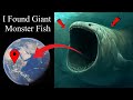 I found giant very monster fish on google maps and google earth in real life map earth alexearth