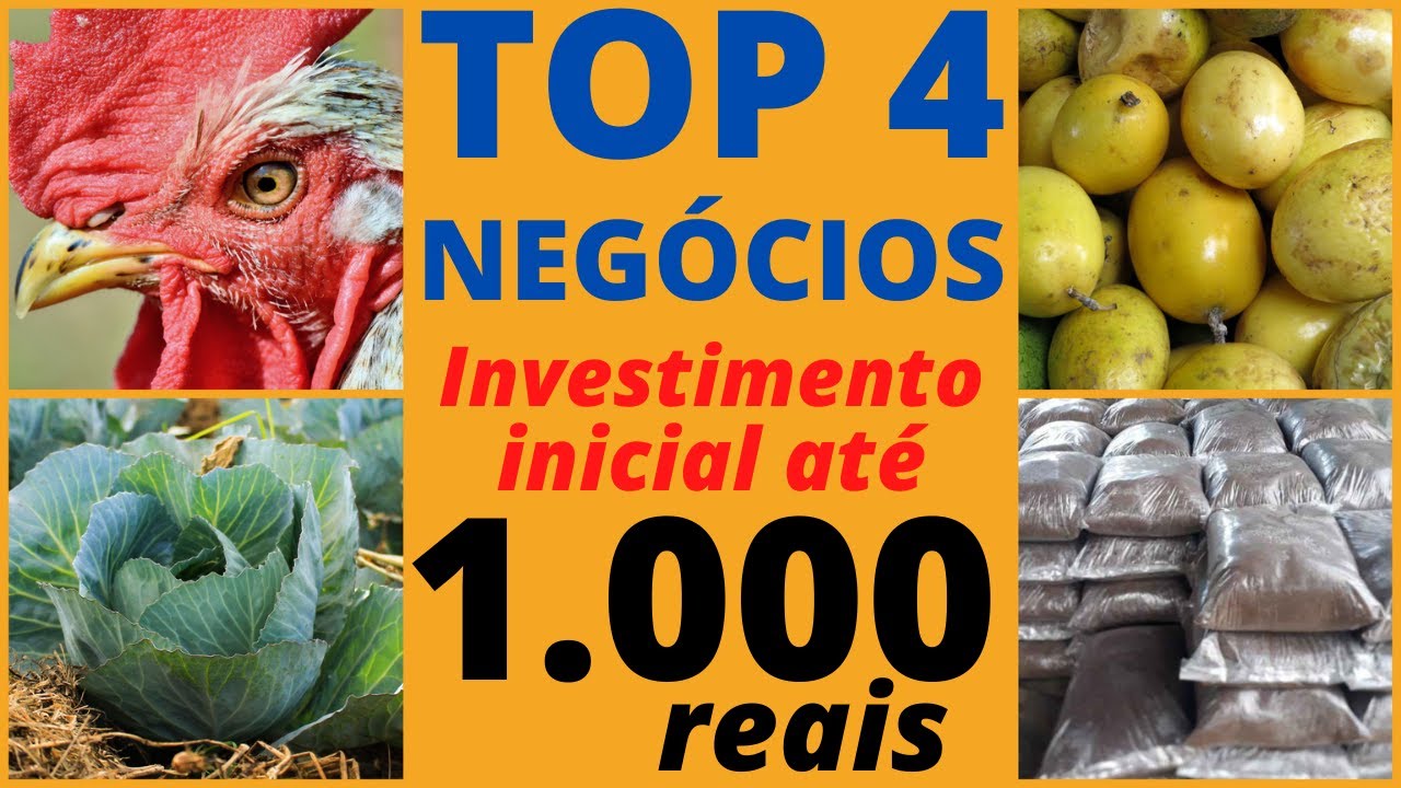 TOP 4 NEGÓCIOS para CHÁCARA ou QUINTAL por MENOS de R$ 1.000,00. Retorno em 3 meses. TOP 4 NEGÓCIOS para CHÁCARA ou QUINTAL por MENOS de R$ 1.000,00. Retorno em 3 meses.