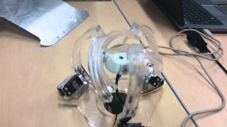 Agile eye movements