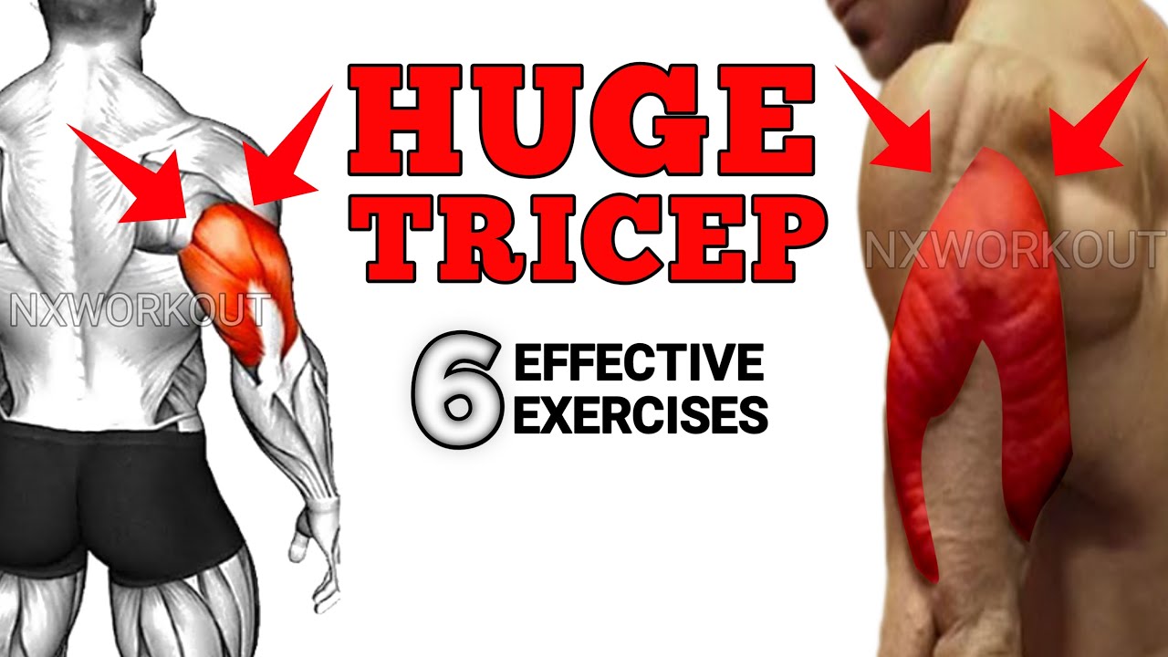 Close Grip Bench Press | Tricep Workout | Big Arm Huge Tricep - YouTube