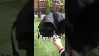 With 15% off ❤️ CODE: STAYDRY #tiktok #umbrella #tiktokviral #umbrellaatops #linkinbio