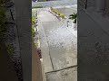 No bike ride today