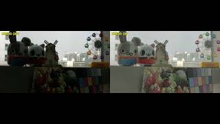 Digital Wide Dynamic Range(DWDR, MDIN-i550/i540)