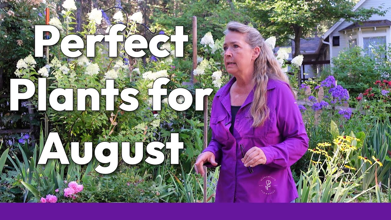 Must Have Garden Plants: Transform Your Outdoor Space