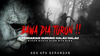 Bawa Turun Atau Mati!! kisah horor pendakian gunung Halau Halau oleh om Dika