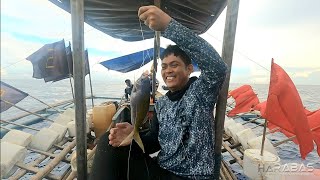 EP656-P1 - Masarap na Kainan sa Laot | Handline Fishing