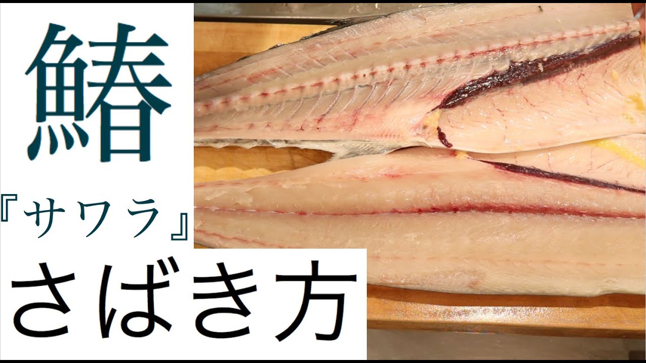 018 サワラ 鰆 さばき方 ちょと為になる話 日本料理まもろをかい 青華こばやし Youtube