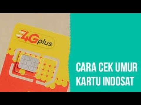 Cara cek umur kartu dan nomor kartu indosat