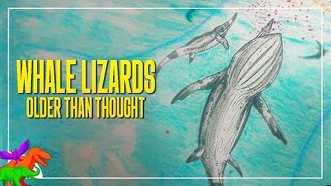 Did You Know? This Amazing Early Marine Reptile Mastered Filter Feeding Before Whales!