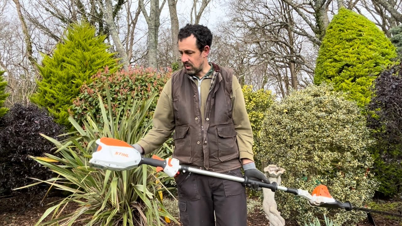 Conifer Trimming & A Year of Running my First Battery Hedge Trimmer ...