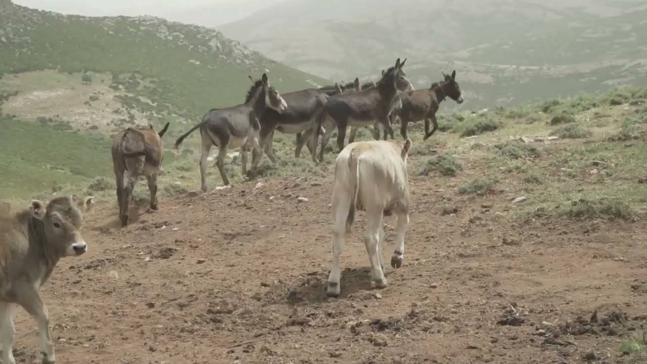 Trekking in Sardegna - Ogliastra con Va Sentierio - Festival ITACA