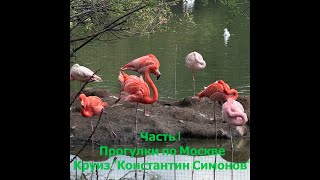 Круиз по Золотому Кольцу на теплоходе Константин Симонов. Прогулки по Москве. Часть 1. Май, 2024 г