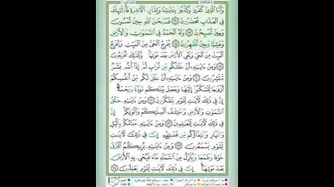 #سورة الروم# الآيات ١٦_١٨#تلاوة الشيخ أيمن سويد #قليل دائم خير