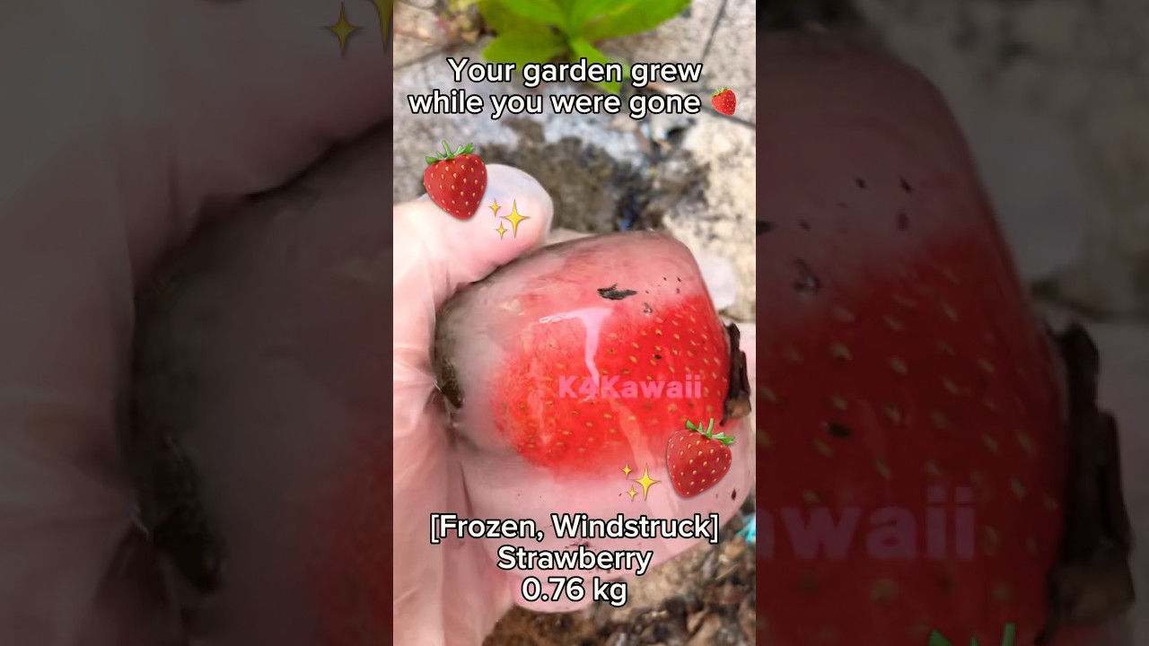 Grow a Garden IRL🍓 