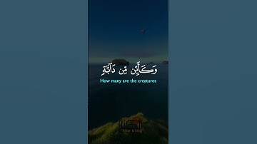 #تلاوة_خاشعة #المصحف #تلاوة_هادئة #قرأن_كريم #راحة_نفسية #اكسبلور