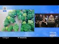 Helene in South Carolina: Gov. McMaster news conference Tuesday, Oct. 1 2024 [Briefing]