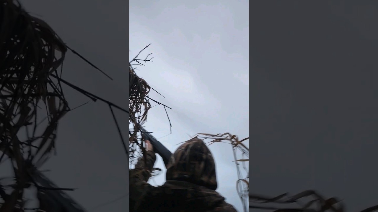 Quick Draw Greenhead! 