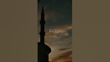 تلاوة جميله للقارئ سعيد دباح