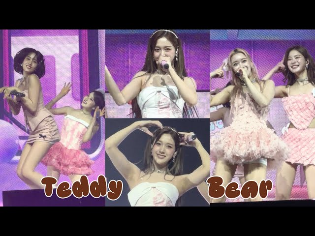 250708 Teddy bear Brisbane