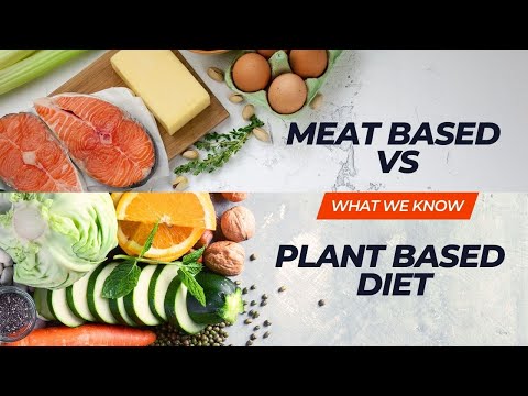 Meat Based vs Plant Based Diet for Your Health