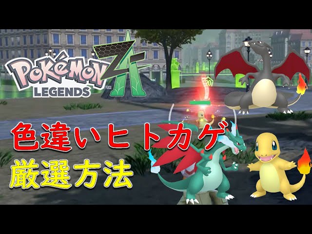 ヒトカゲ　リザード　各10枚 状態B】旧裏 No.044 ヒトカゲ Lv.10/HP50