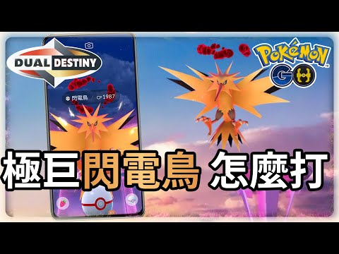 【Pokemon GO】極巨化閃電鳥怎麼打，一起來傳說展翅高飛 | 寶可夢GO(CC字幕) | Ep.228
