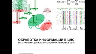 Лекция 11. Обработка информации в ЦНС (продолжение)