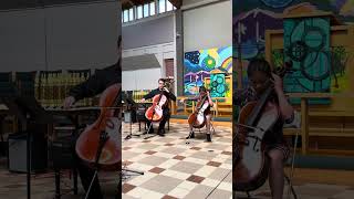R.Schumann: The Two Grenadiers, Cello duet