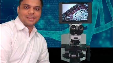 Learn About Laxco SeBaP4B Microscope