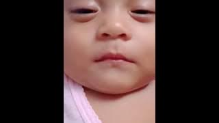 #EMIONA FAMILLY #ALDONOVA 96