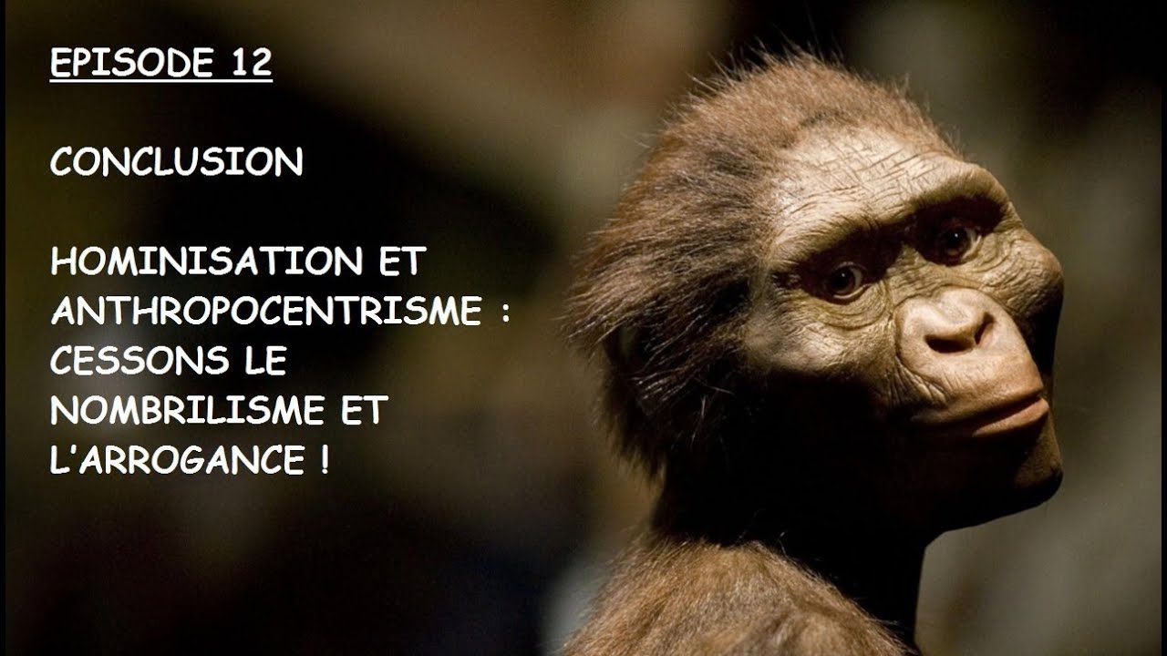 DS 12 HOMINISATION ET ANTHROPOCENTRISME YouTube