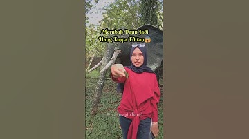 merubah daun jadi uang #sulap #magic #sihir #shortvideo