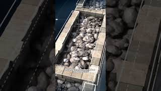 Roman Wall Engineering