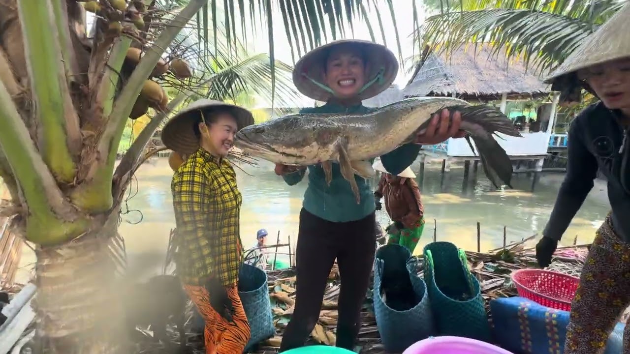 1849 / Bơm cái ao nhà bất ngờ nhiều cá khủng