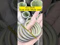 DLI Seal Dust Seal Wiper Seal Many Different Sizes Pu Hydraulic Cylinder Seal WOMA Seal DLI DLI Seal Dust Seal Wiper Seal Many Different Sizes Pu Hydraulic Cylinder Seal WOMA Seal DLI