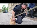 Meet Chance, Buffalo Police Department's New Therapy Dog