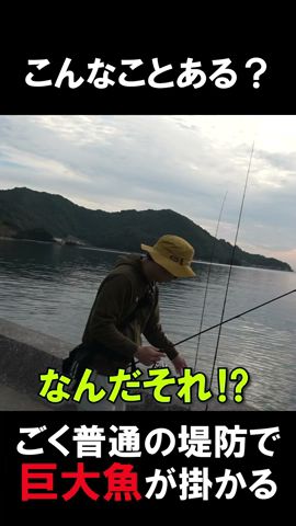 ごく普通の堤防でアジング中に「あり得ない魚」を釣ってしまった‼ #巨大魚 #大物 #青物