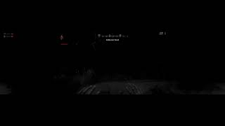 NAF Gaming on Hunt Showdown 32:9