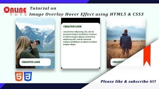 Image Overlay Hover Effect With HTML5 and CSS3 | 2020