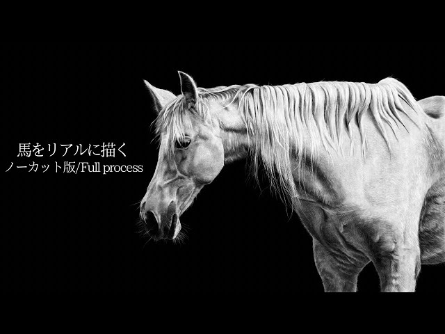 馬をリアルに描く/Drawing a realistic horse【ノーカット版】 - YouTube