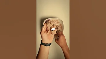 دجاج ورز 50 جرام بروتين 