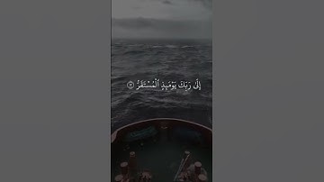أجمل روائع القارئ إدريس أبكر لسورة القيامة في قناة طمئن قلبك 🤍