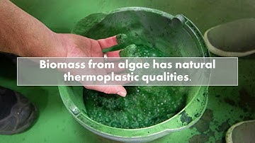 BMFG 1213 Assignment