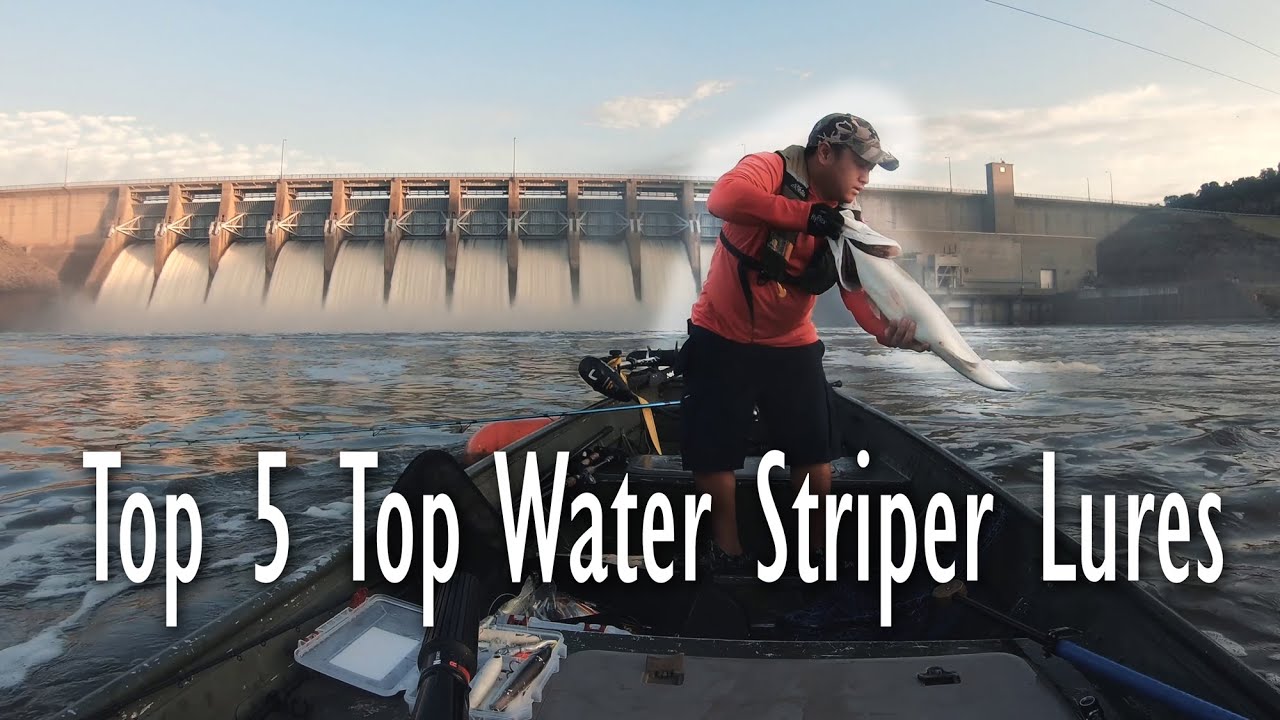 Striper Fishing Top 5 Fall Top Water Striper Lures 2019 OOW